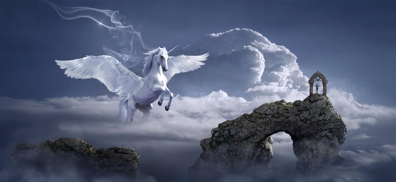 Pegasus Pumpkins